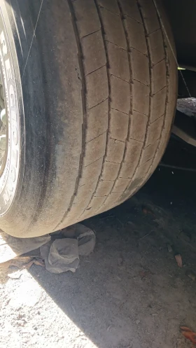 Man Tgx  | Mobile.bg    13