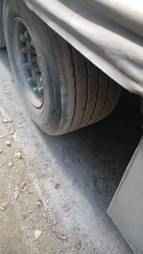 Man Tgx  | Mobile.bg    11