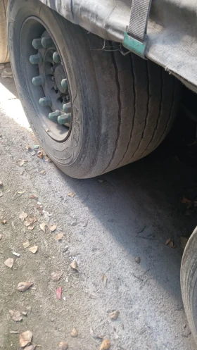 Man Tgx  | Mobile.bg    12