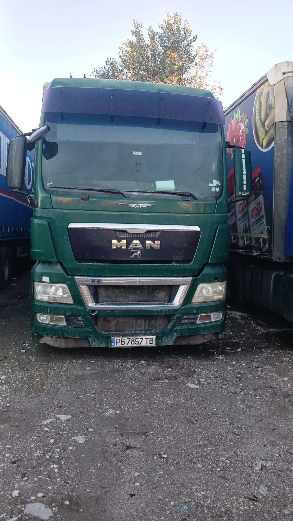 Man Tgx  | Mobile.bg   1