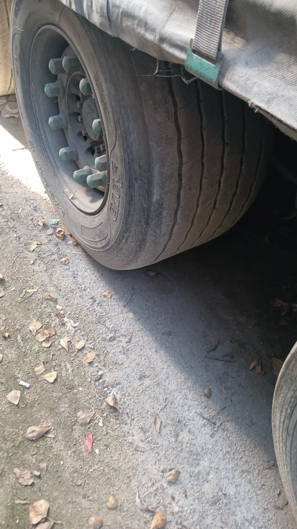 Man Tgx  | Mobile.bg   12