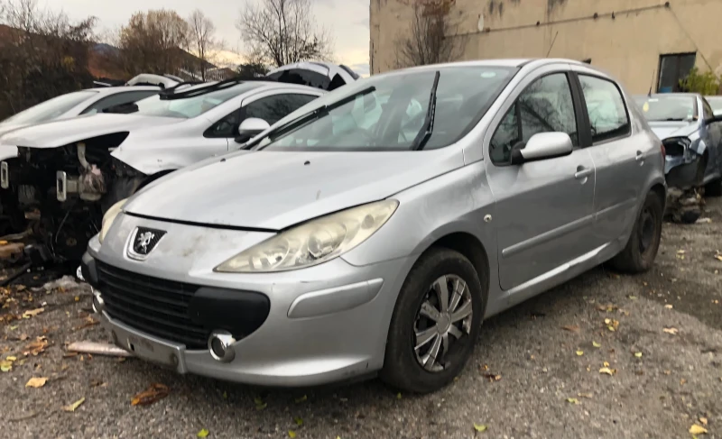 Peugeot 307 1.4 16 v, снимка 1 - Автомобили и джипове - 48044254