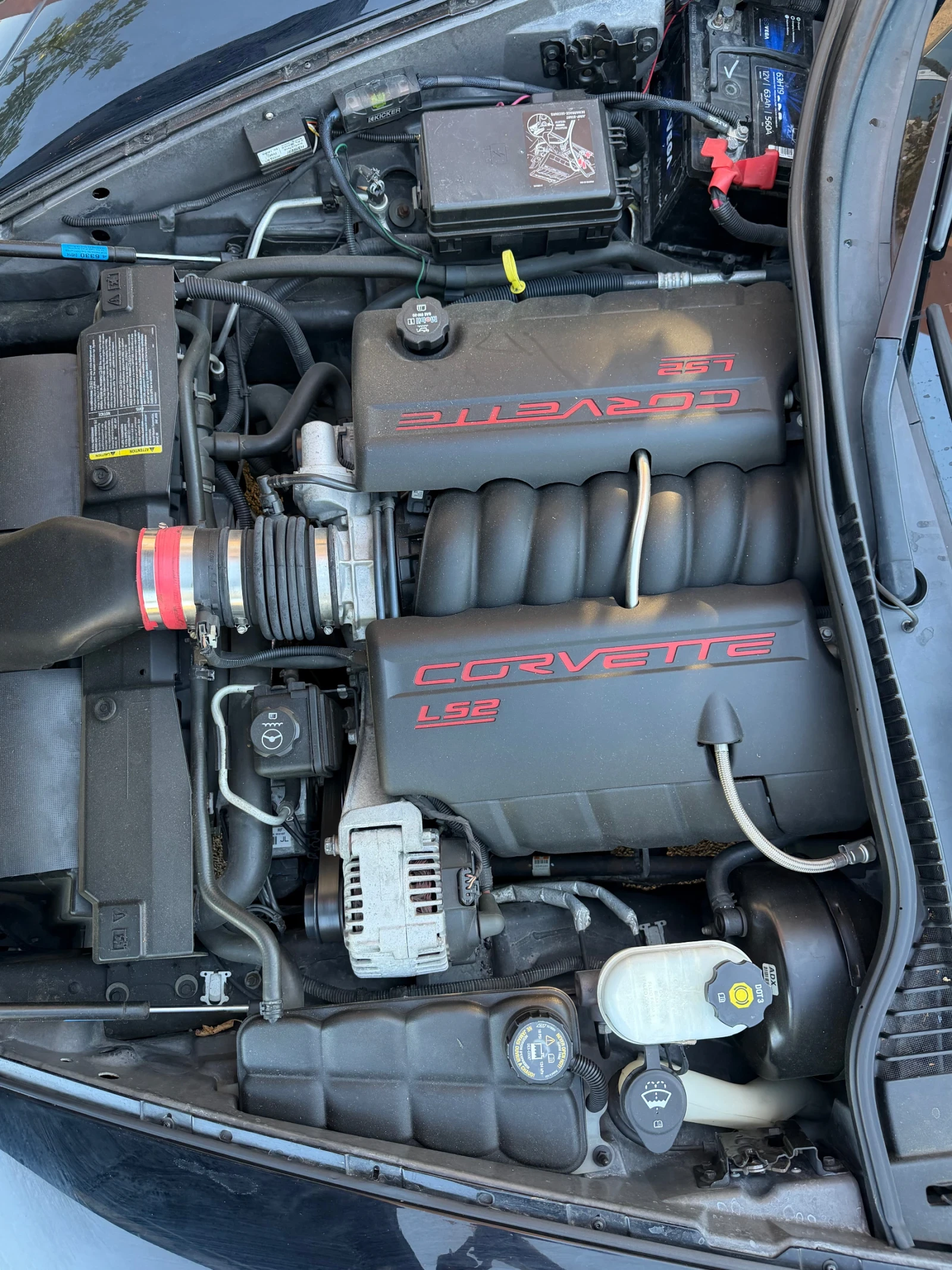 Chevrolet Corvette C6* V8* Targa, снимка 17 - Автомобили и джипове - 56051633