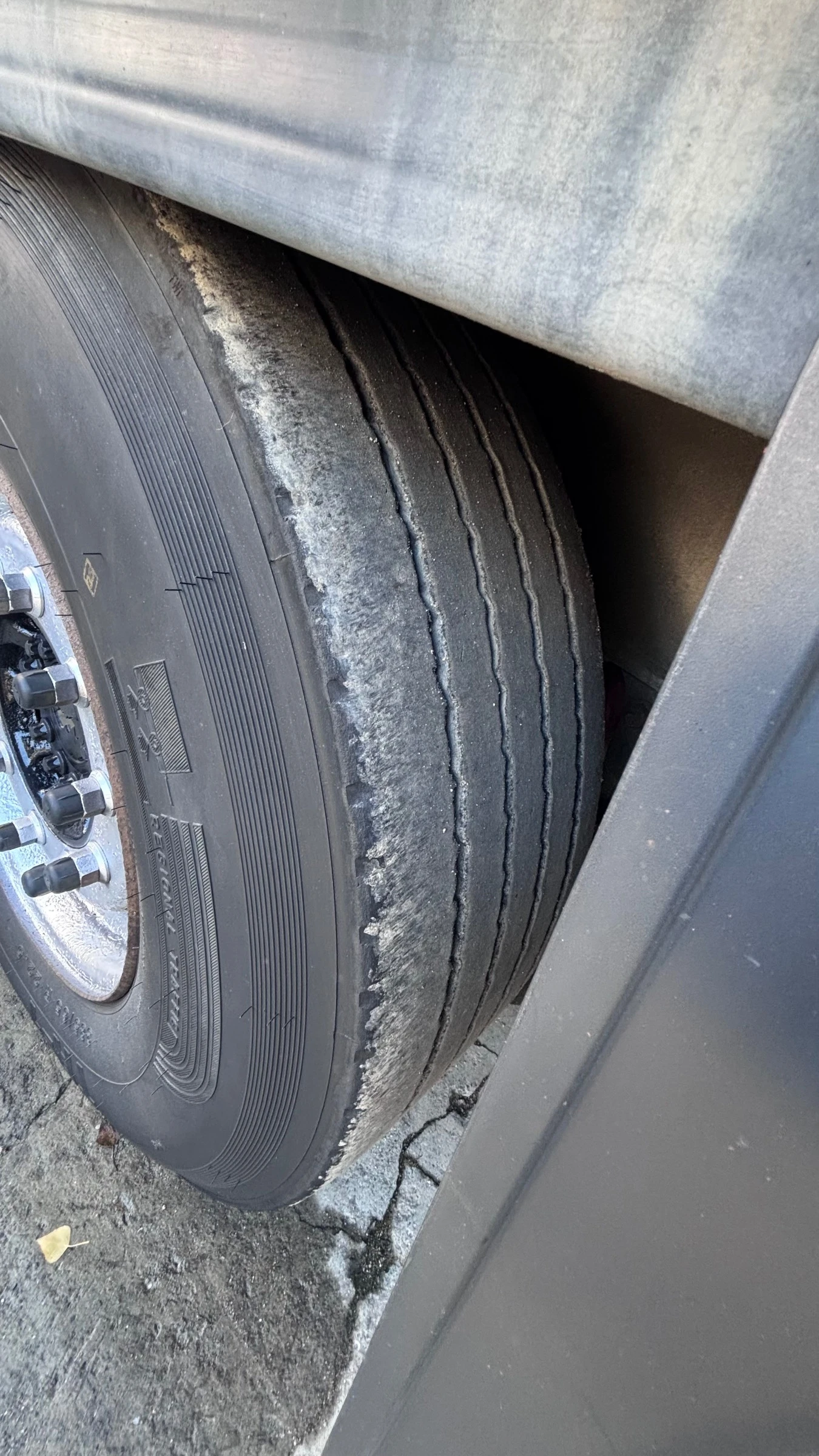  Schmitz ! ! | Mobile.bg   14