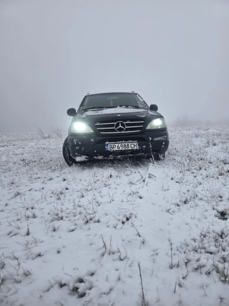 Mercedes-Benz ML 270, снимка 5 - Автомобили и джипове - 48814680