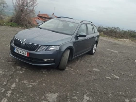 Skoda Octavia - 8000 € / 15646.64 лв. - 13951651 4