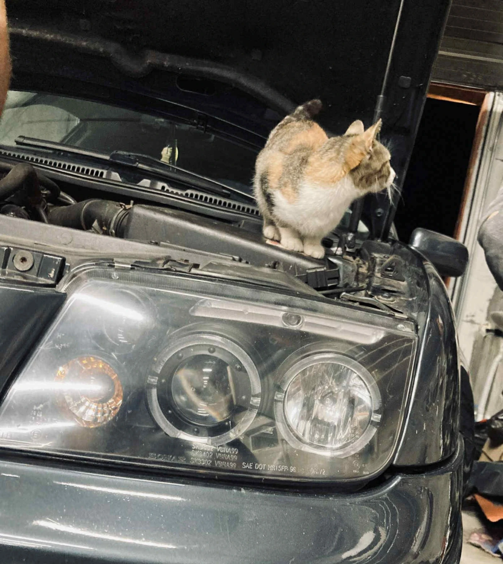 VW Bora | Mobile.bg � ����������� 2