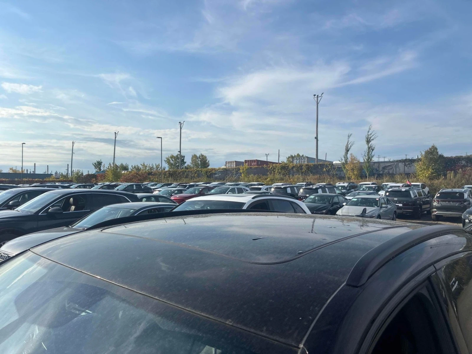 Audi Q5 �������� * Carplay * ���������� (���� �� ��) | Mobile.bg � ����������� 13