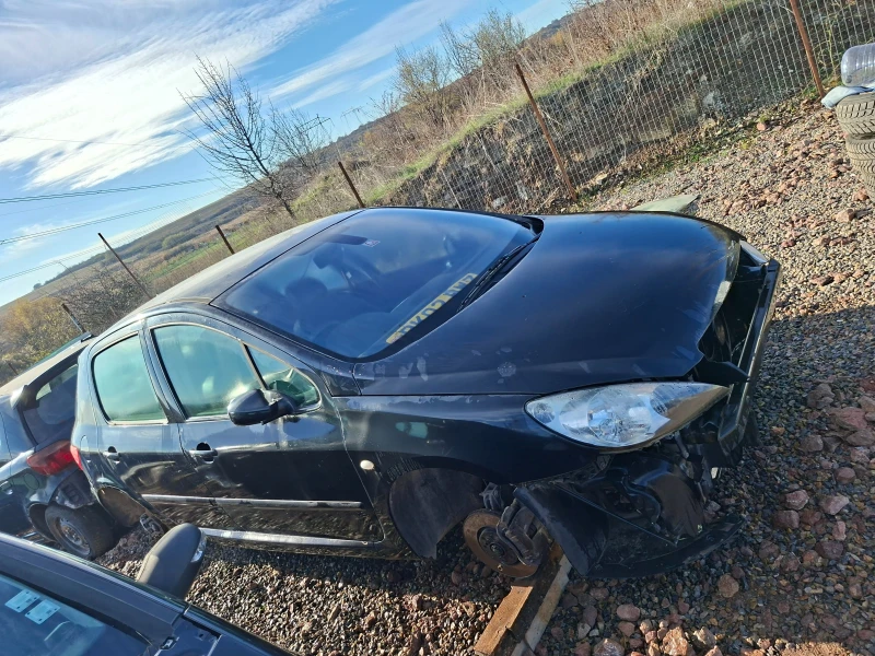 Peugeot 307 2.0 16v бензин, снимка 2 - Автомобили и джипове - 52404911
