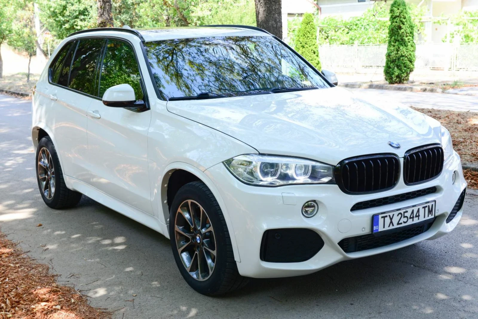 BMW X5, снимка 2 - Автомобили и джипове - 54286155