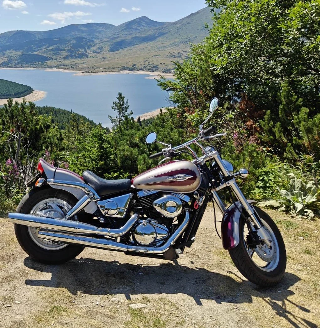Suzuki VZ Marauder - изображение 2