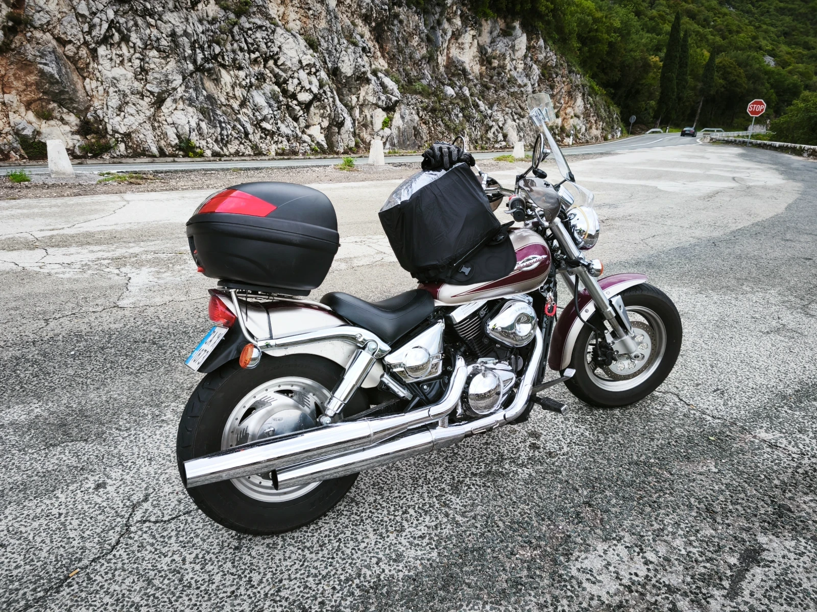 Suzuki VZ Marauder - изображение 9