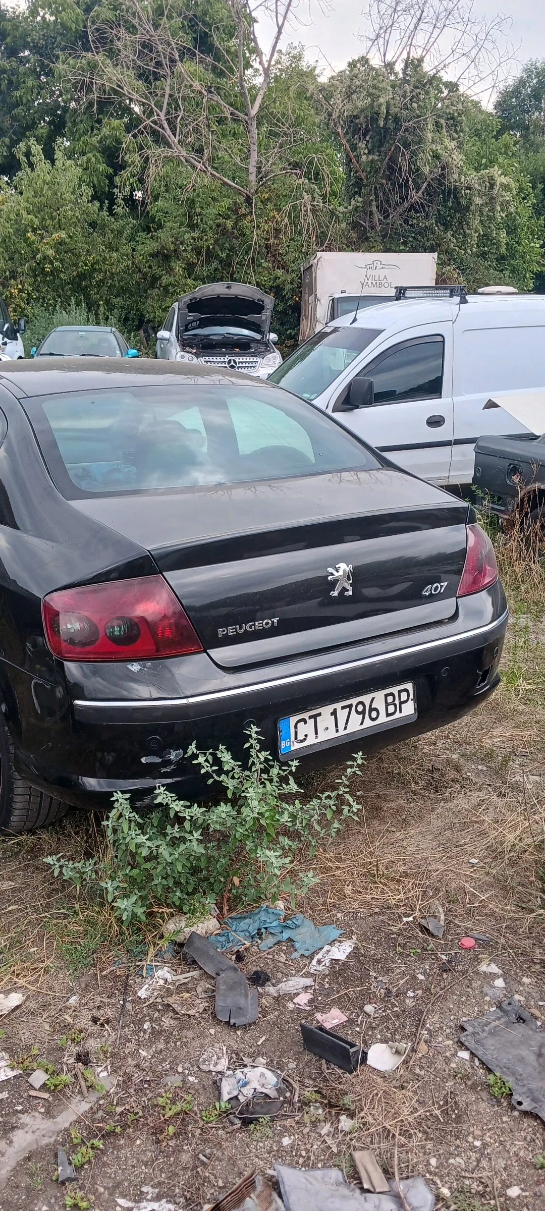 Peugeot 407  - изображение 6