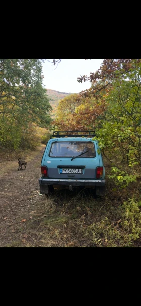 Lada Niva - 2500 € - 31040460 5