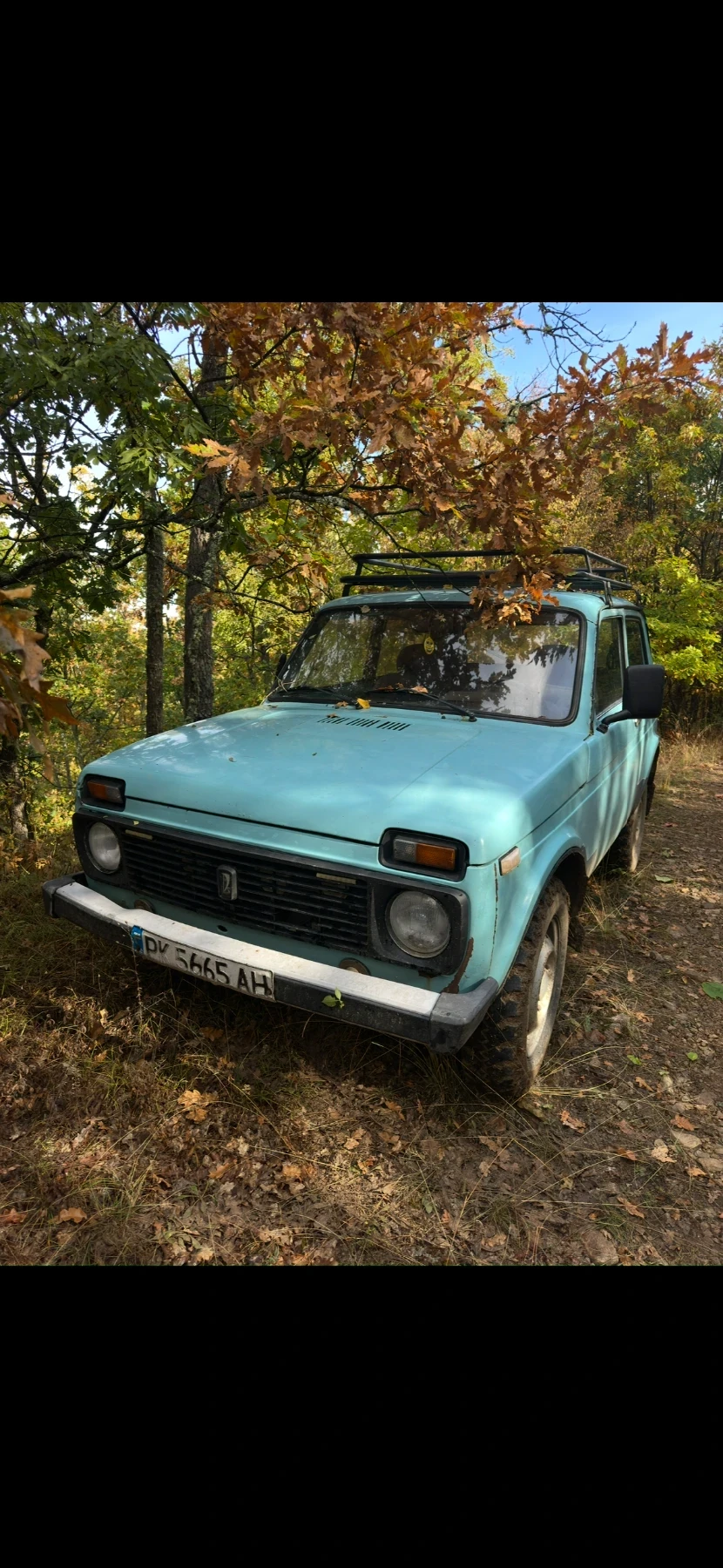 Lada Niva, снимка 4 - Автомобили и джипове - 56612263