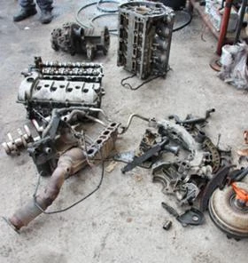 ГЛАВА, снимка 2