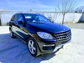     Mercedes-Benz ML 250