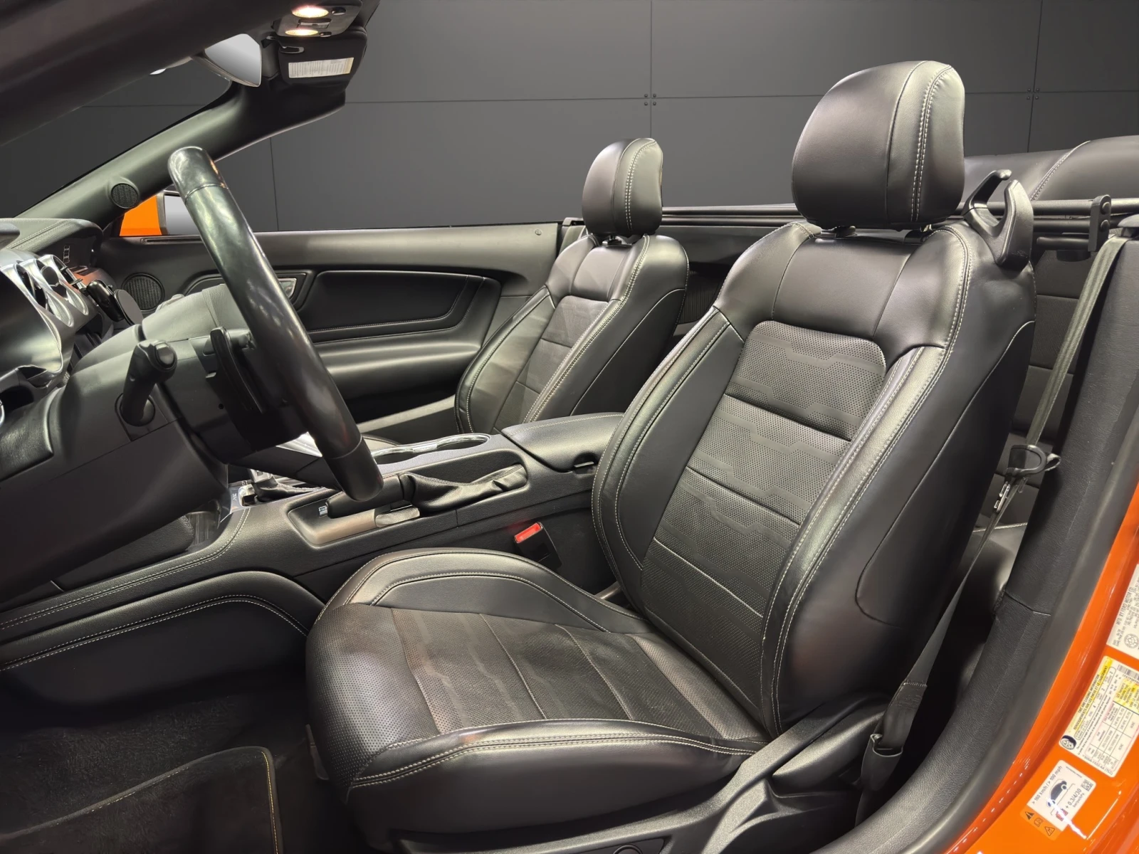 Ford Mustang GT 5.0 - изображение 9