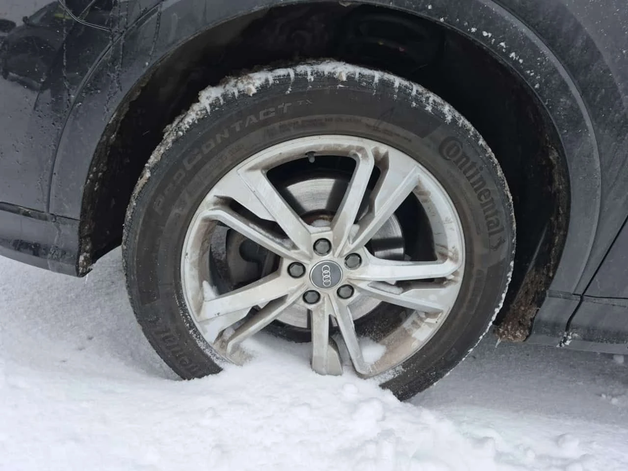 Audi Q3 Progressive S line Premium Plus 45 TFSI quattro | Mobile.bg � ����������� 6