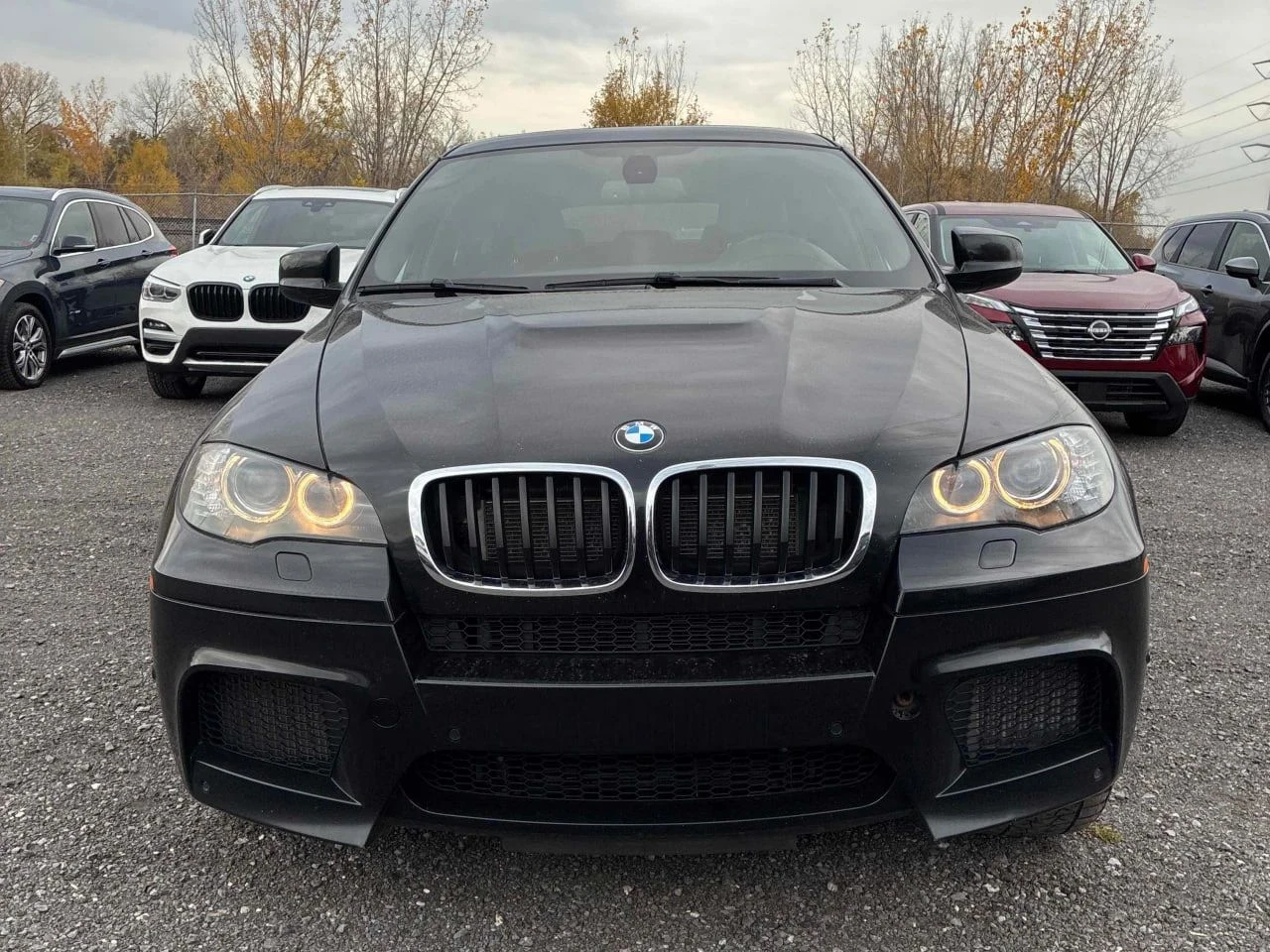 BMW X6, снимка 5 - Автомобили и джипове - 56724148