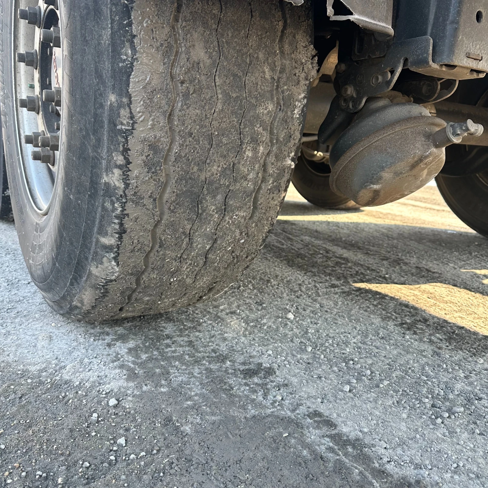  Koegel SN 24 | Mobile.bg   10