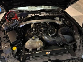 Ford Mustang * 2dr Fastback Shelby GT350 * CARFAX * ЦЕНА ДО БГ, снимка 8