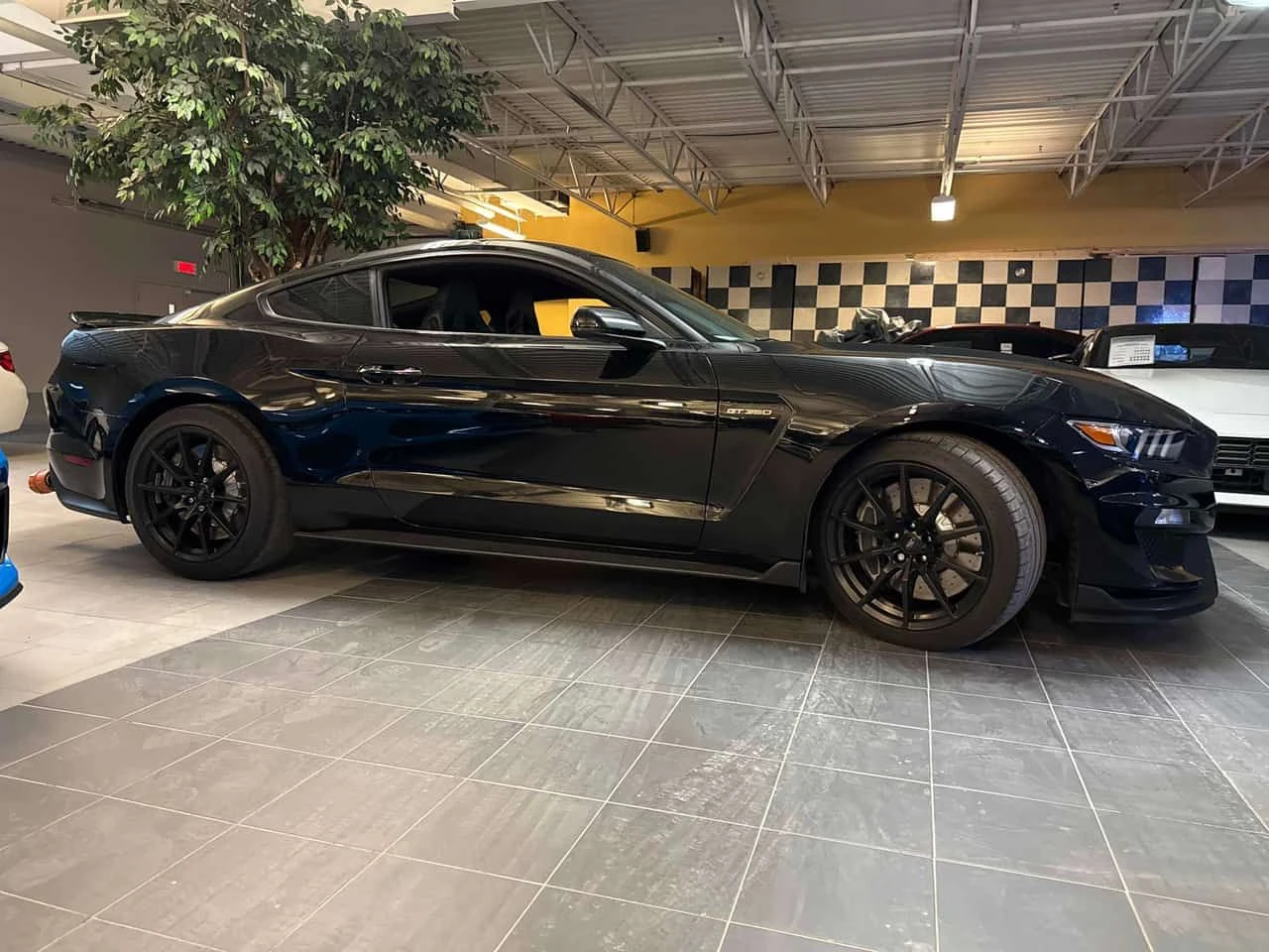 Ford Mustang * 2dr Fastback Shelby GT350 * CARFAX * ЦЕНА ДО БГ, снимка 3 - Автомобили и джипове - 53987327