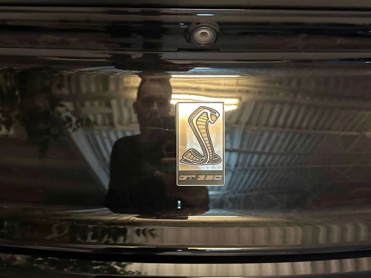 Ford Mustang * 2dr Fastback Shelby GT350 * CARFAX * ЦЕНА ДО БГ, снимка 15 - Автомобили и джипове - 53987327