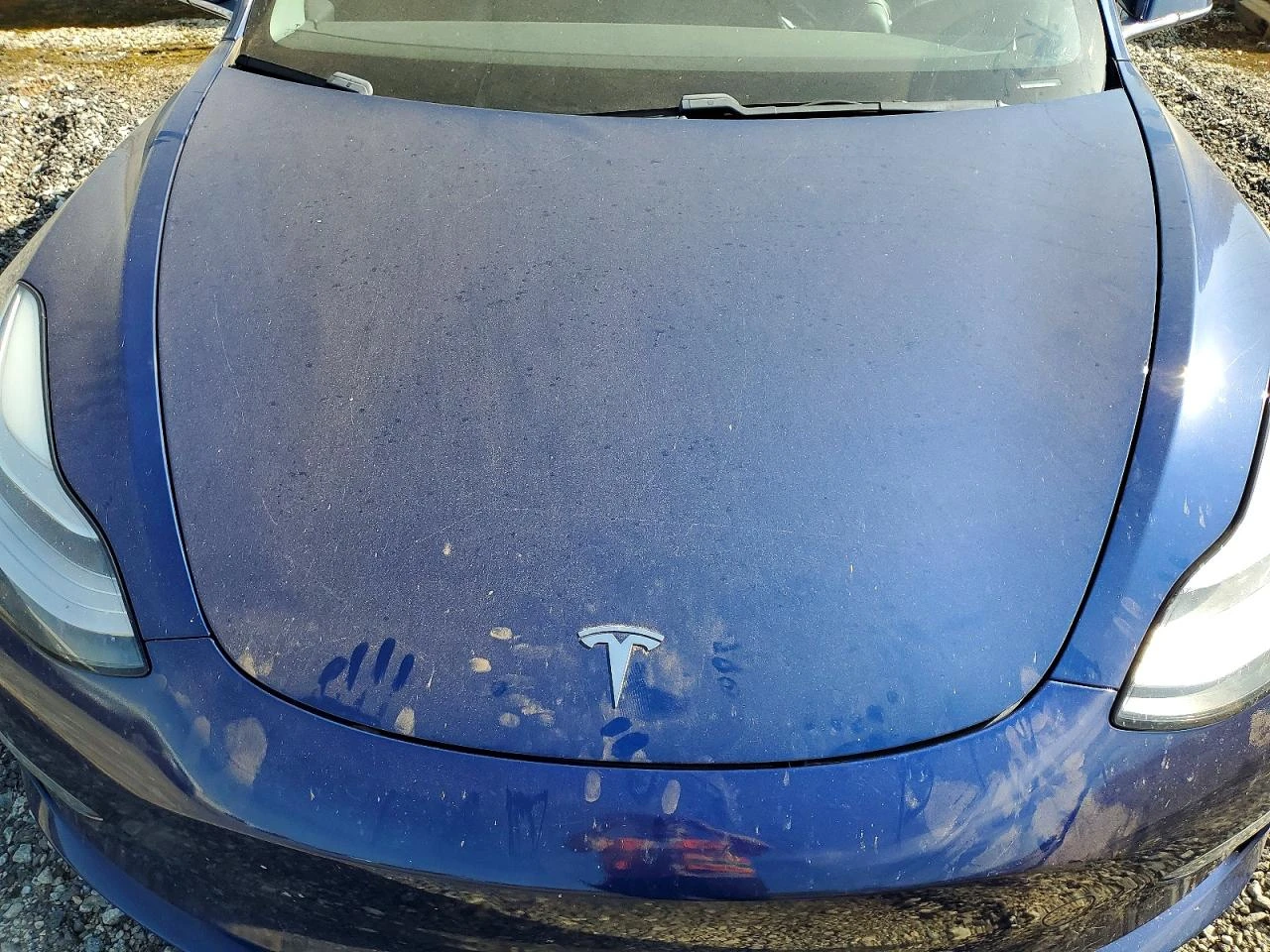 Tesla Model 3, снимка 10 - Автомобили и джипове - 54156000