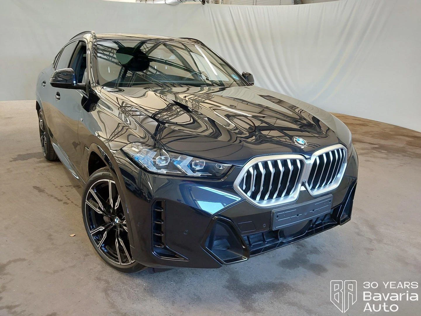 BMW X6 30d xDrive Sportautomatic, снимка 4 - Автомобили и джипове - 56235362