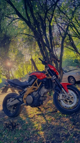  Aprilia Shiver