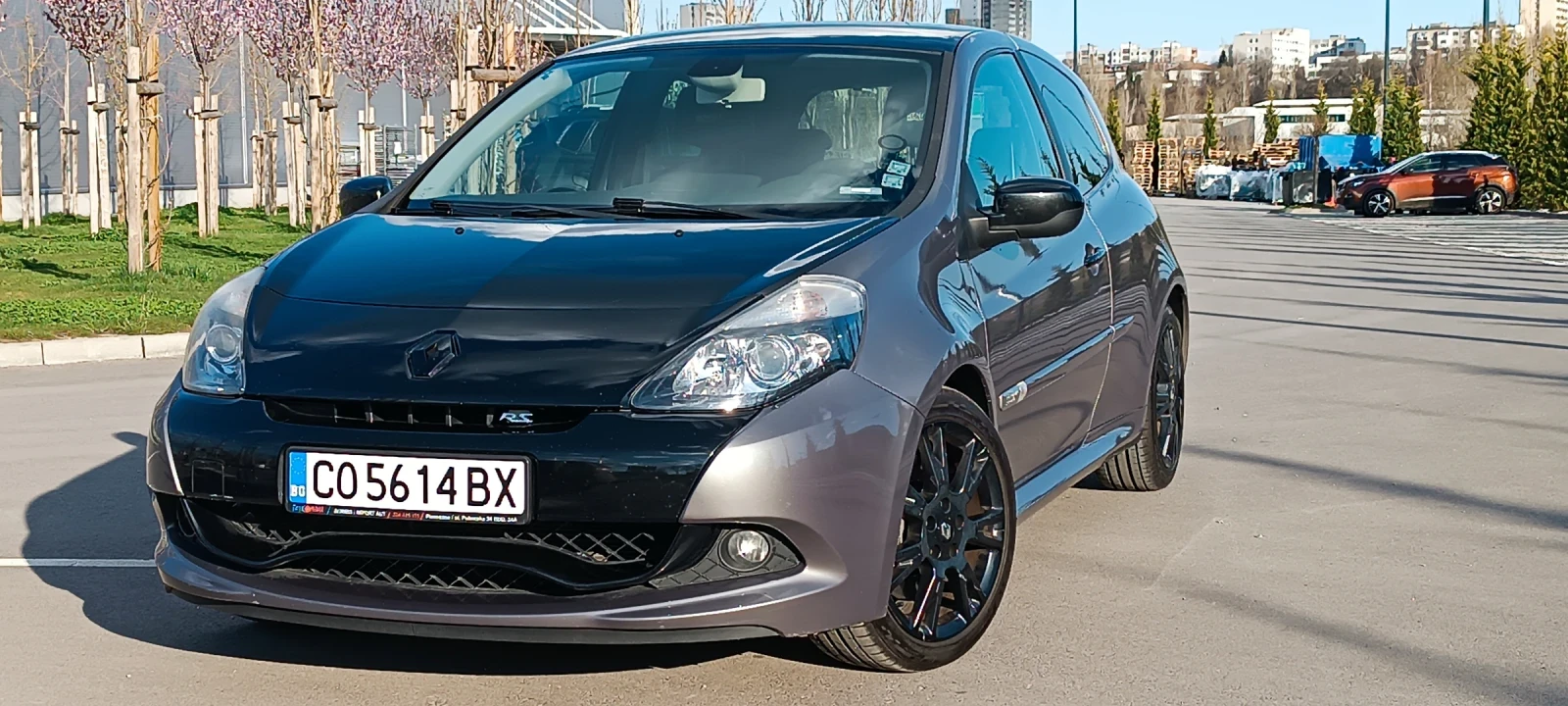 Renault Clio R.S., снимка 7 - Автомобили и джипове - 54822059