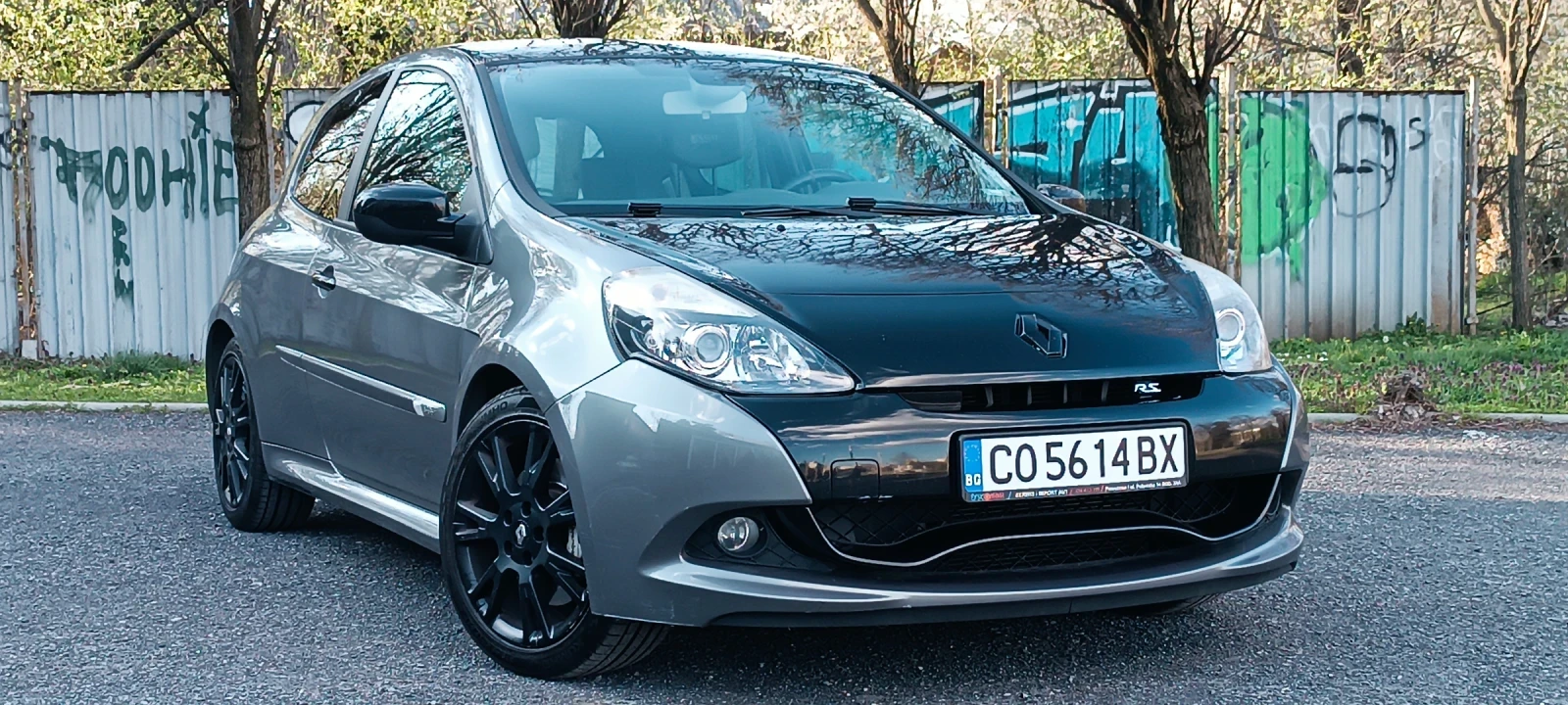 Renault Clio RS 201 limited , снимка 7 - Автомобили и джипове - 53913818
