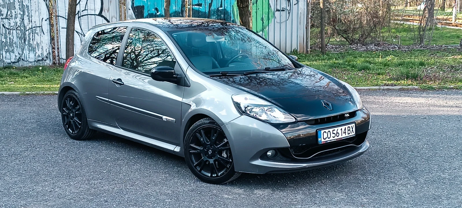 Renault Clio RS 201 limited , снимка 8 - Автомобили и джипове - 53913818