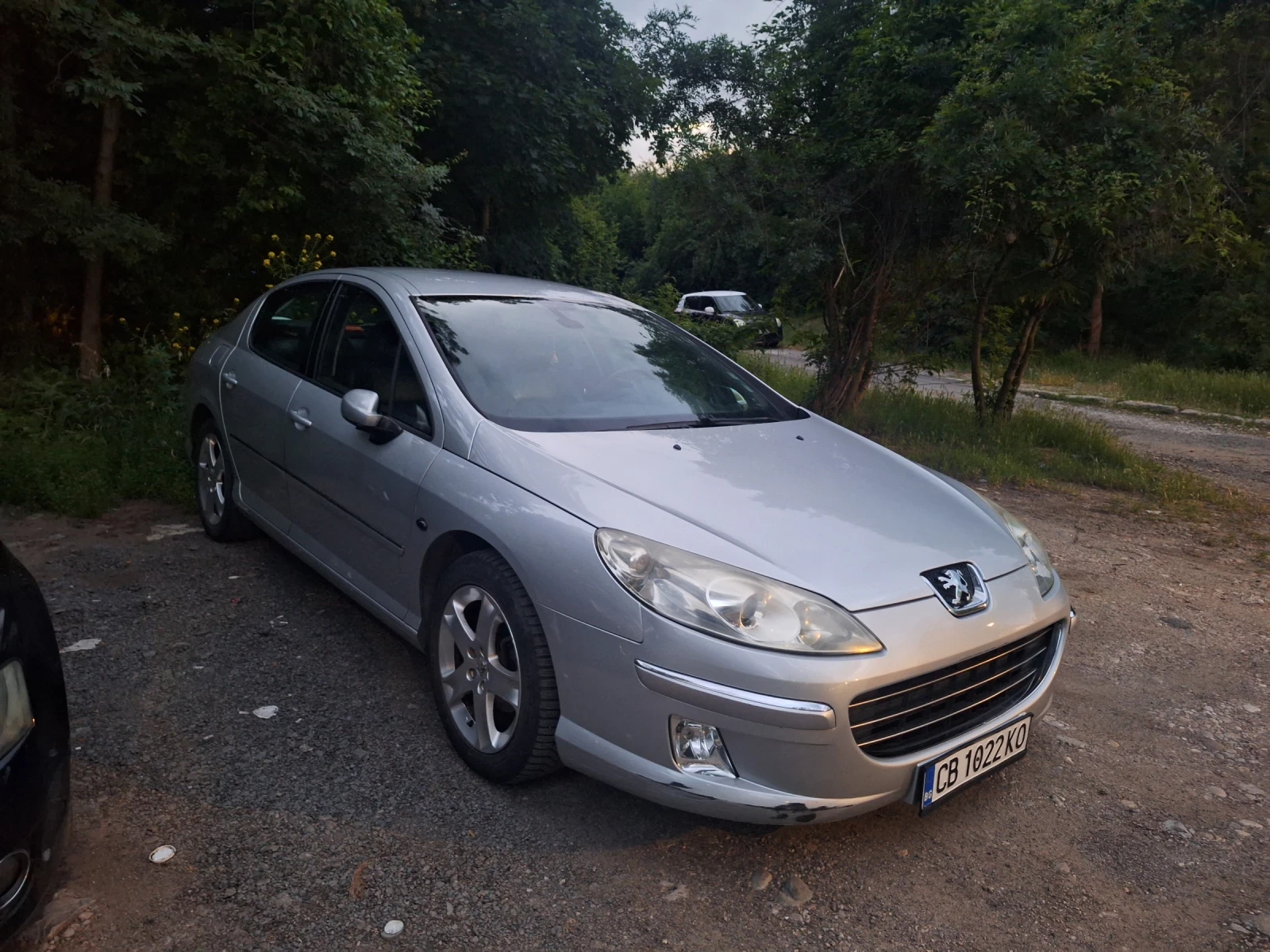 Peugeot 407
