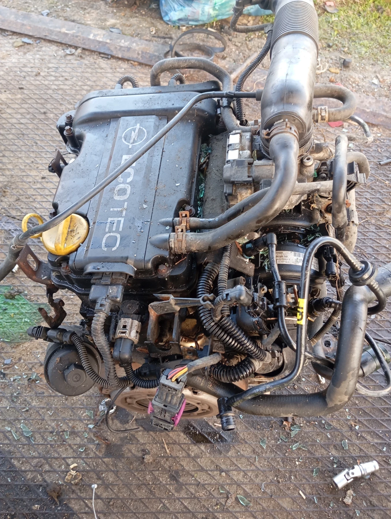 �������� �� ���� ����� � 1.0 ������ | Mobile.bg � ����������� 5