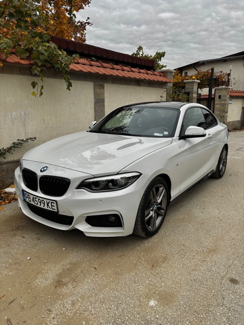 BMW 230 2018 LCI, снимка 1 - Автомобили и джипове - 49347147