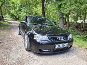 Audi S3 BAM