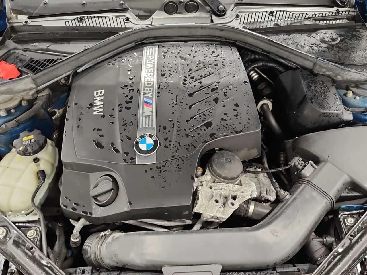 BMW M2 * COUPE * CARFAX *  | Mobile.bg � ����������� 16