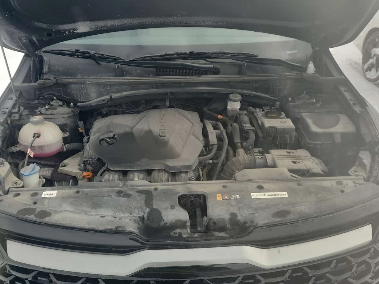 Kia Sportage X LINE 4D UTILITY AWD /CARFAX /����/��������/ | Mobile.bg � ����������� 17