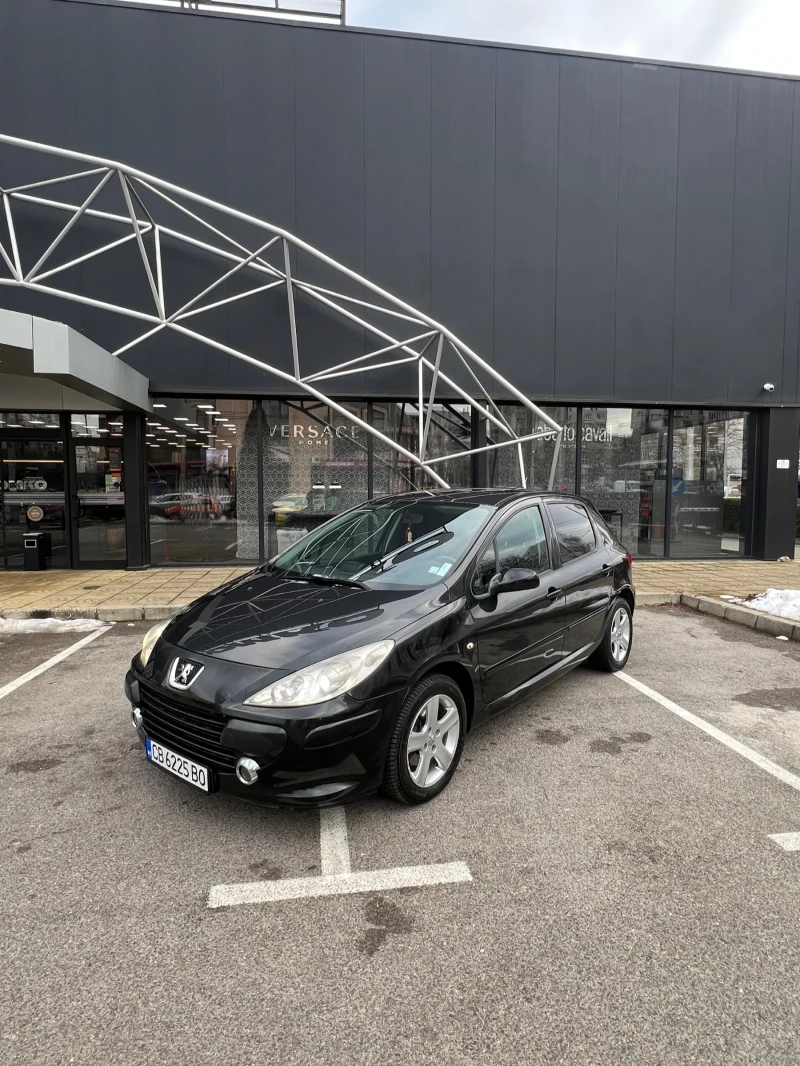 Peugeot 307 1.6 HDI, снимка 2 - Автомобили и джипове - 48806239