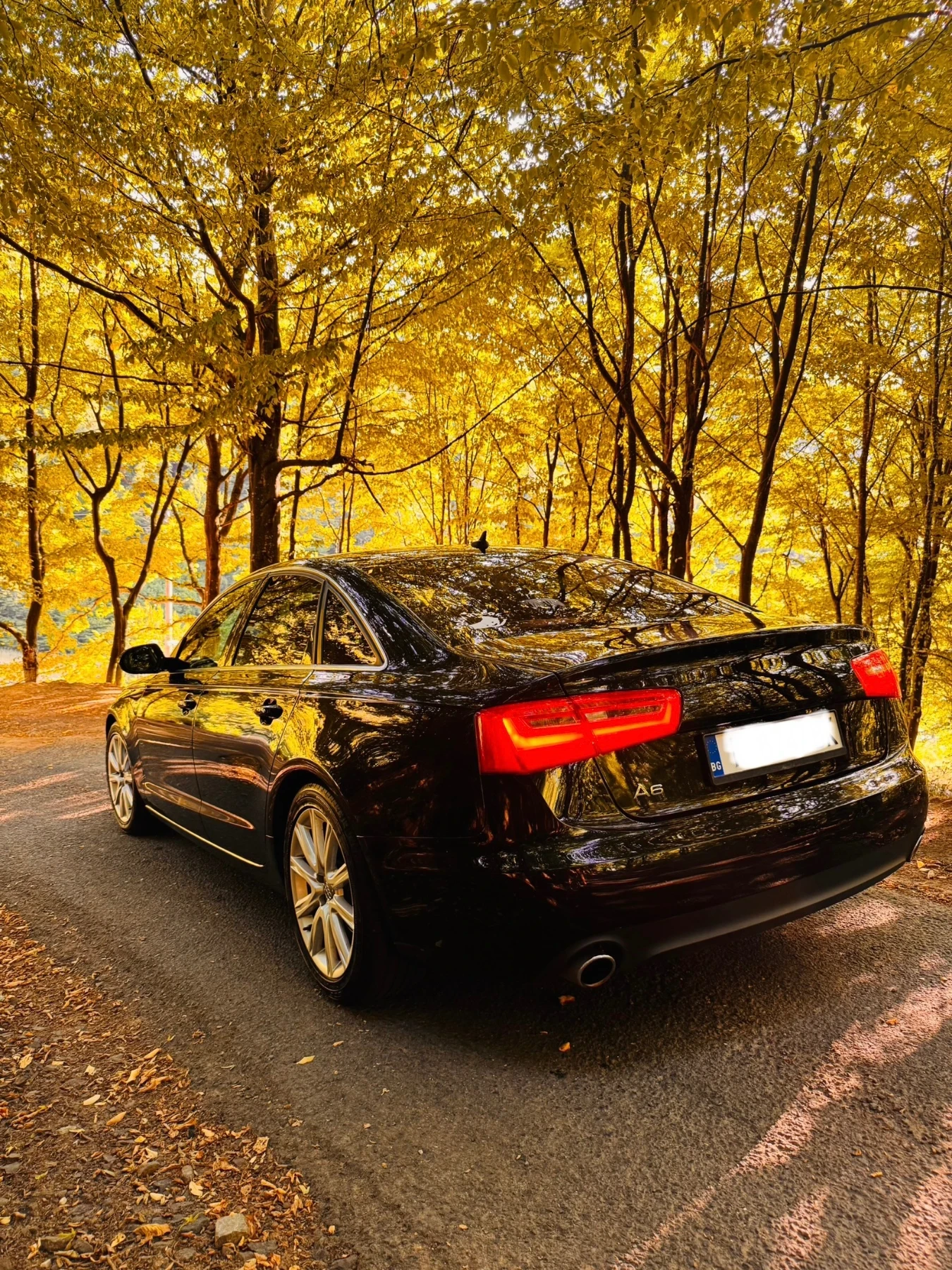 Audi A6 3.0 TDI - изображение 5