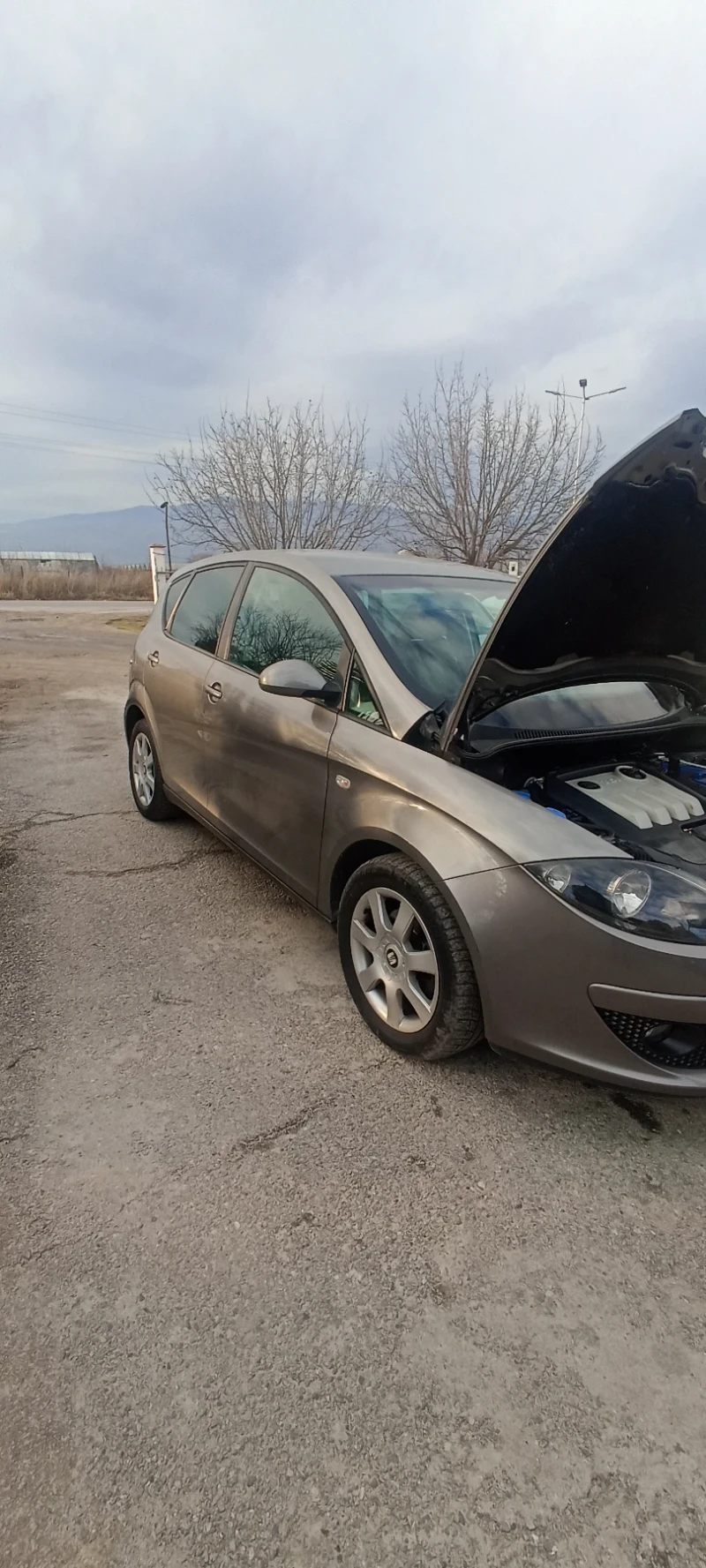 Seat Altea 1.9, снимка 4 - Автомобили и джипове - 48537129