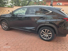     Lexus NX 300h