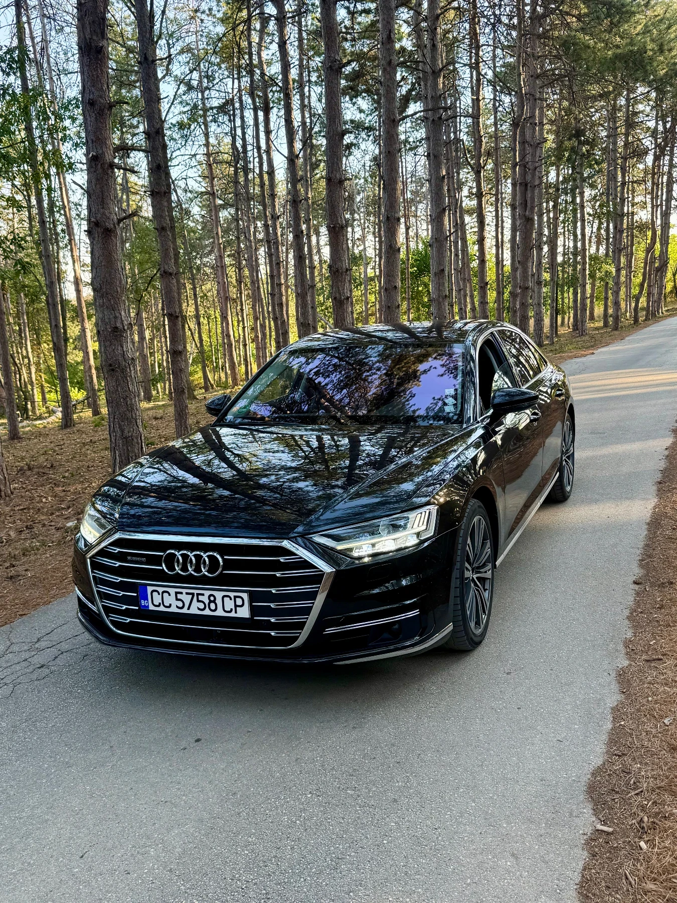 Audi A8 50 TDI - изображение 2