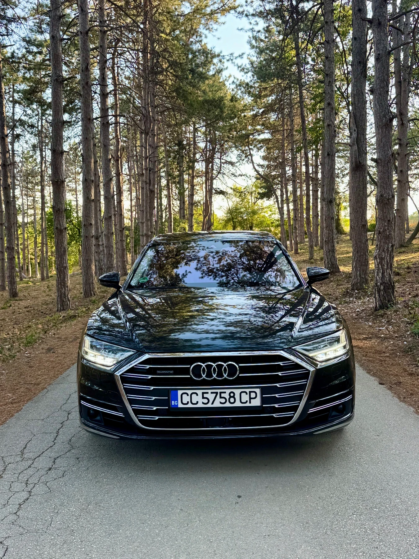 Audi A8 50 TDI - изображение 4