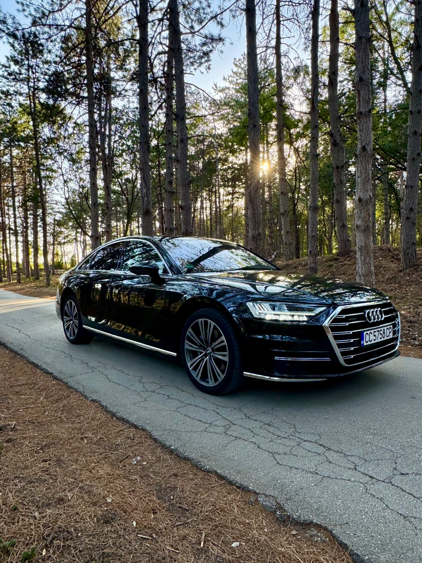 Audi A8 50 TDI - изображение 3