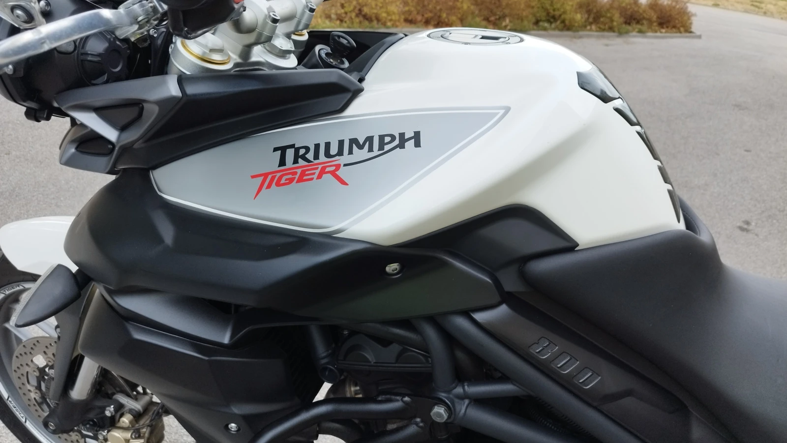 Triumph Tiger 800 XRT  - изображение 6
