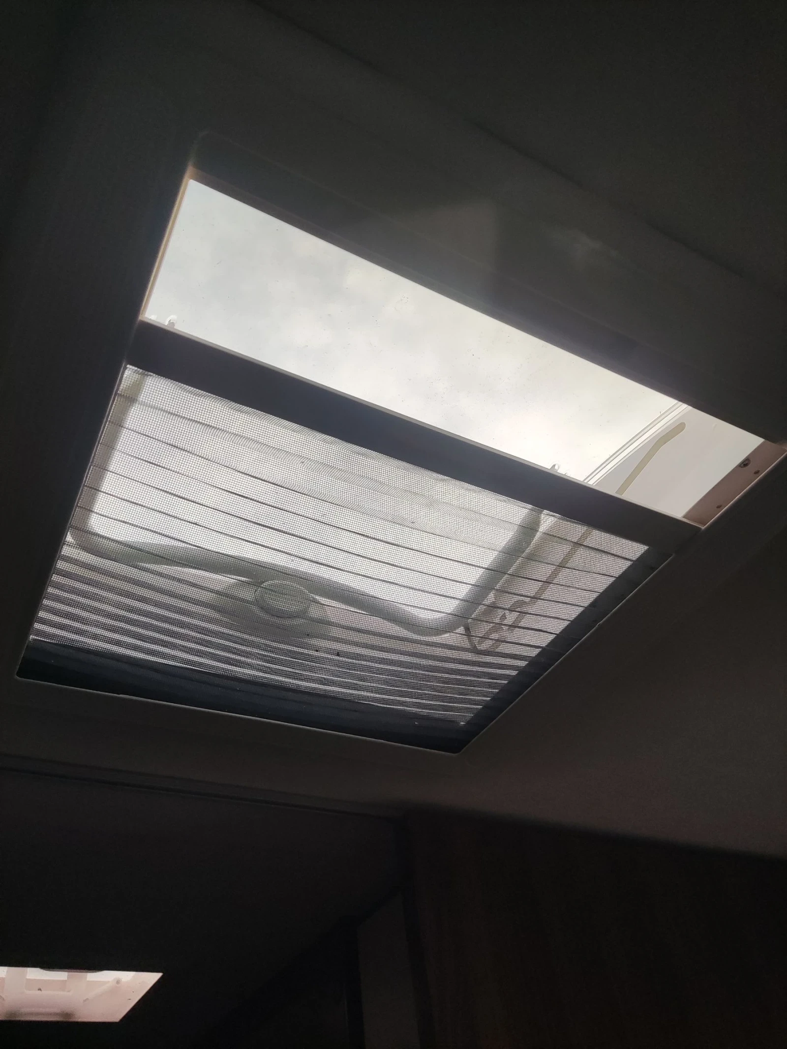 �������� Lunar Venus | Mobile.bg � ����������� 16