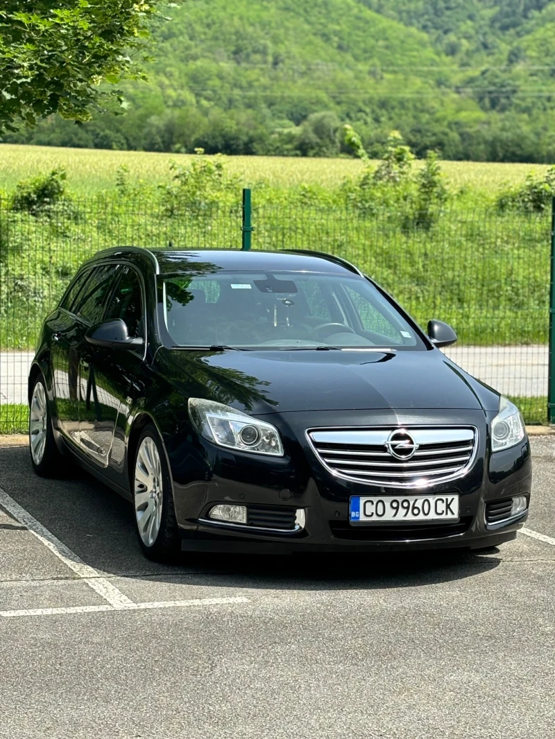 Opel Insignia, снимка 10 - Автомобили и джипове - 48072898